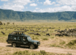 Elephant herd walking across Amboseli National Park in Kenya with Mount Kilimanjaro in the background