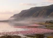 Flamingos gathering on the shore of Lake Manyara beneath the Rift Valley escarpment