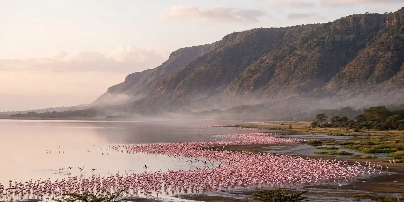 Flamingos gathering on the shore of Lake Manyara beneath the Rift Valley escarpment