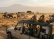 Small group of travellers in an open safari vehicle watching elephants in Amboseli